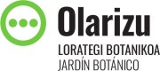 OLARIZU