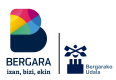Bergarako Udala