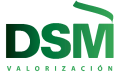 DSM SOLUCIONES MEDIOAMBIENTALES